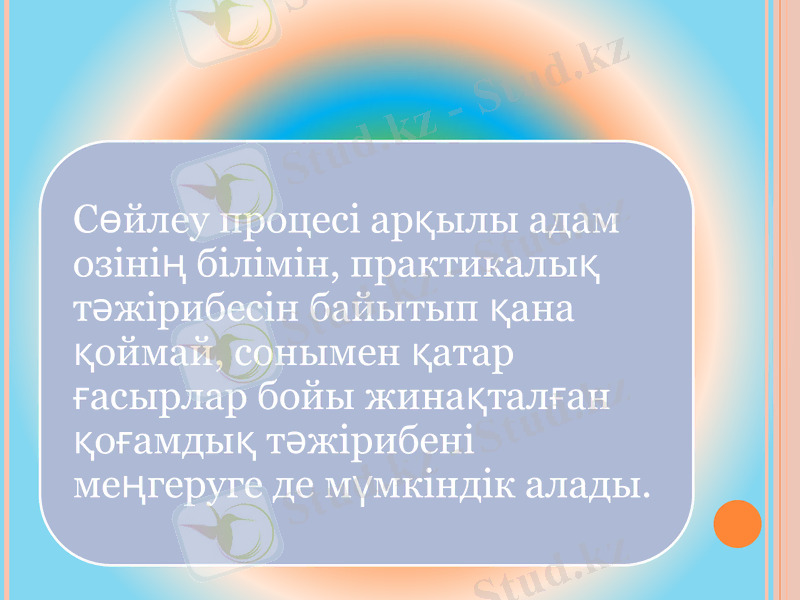 Slide 12