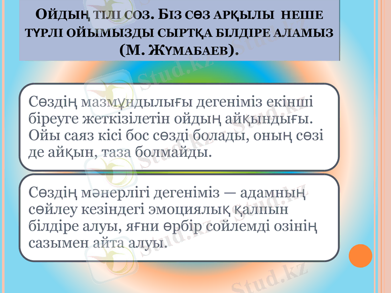 Slide 13