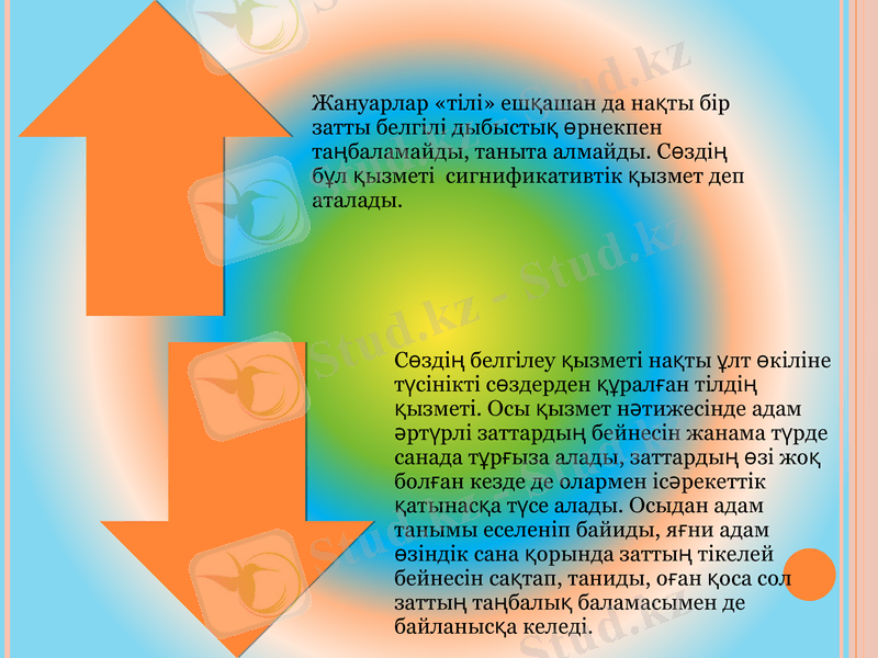 Slide 17