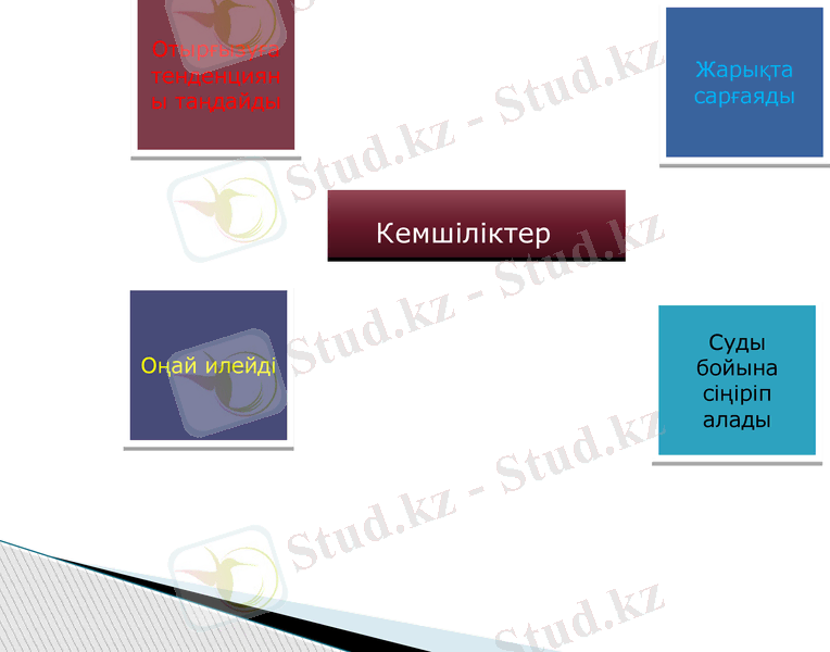Slide 7