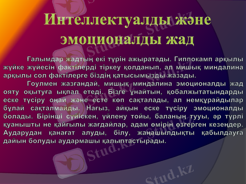 Slide 6