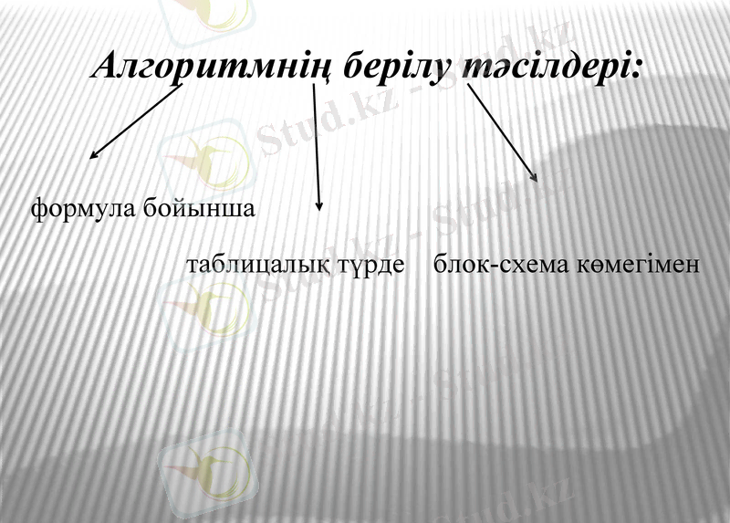 Slide 8