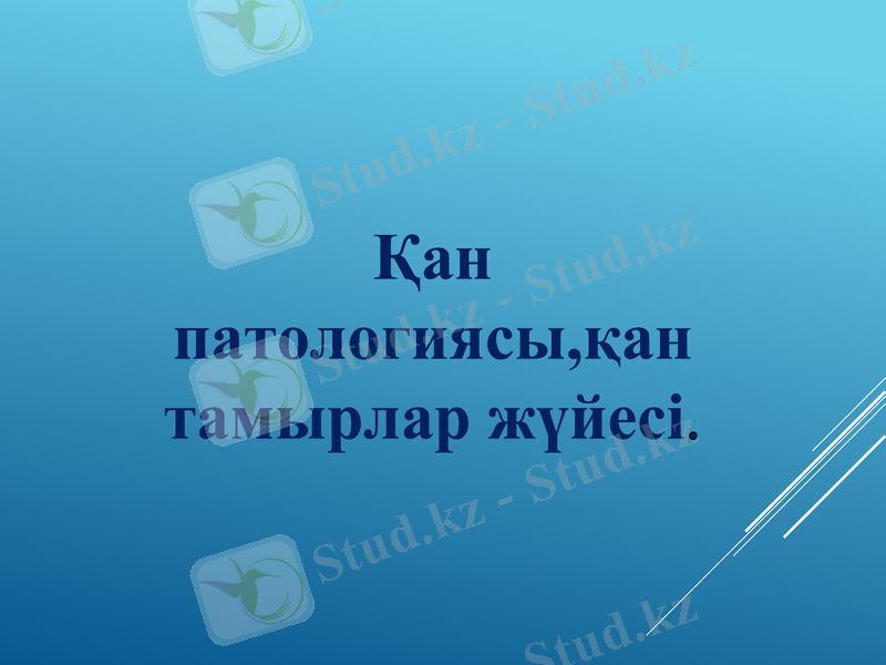 Slide 1