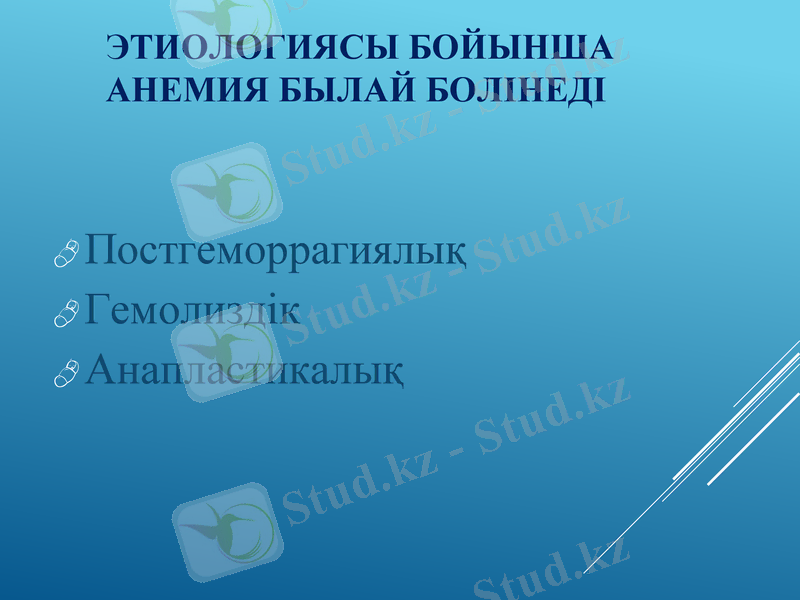 Slide 12
