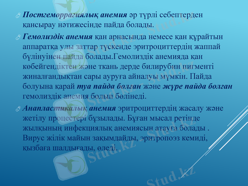 Slide 13