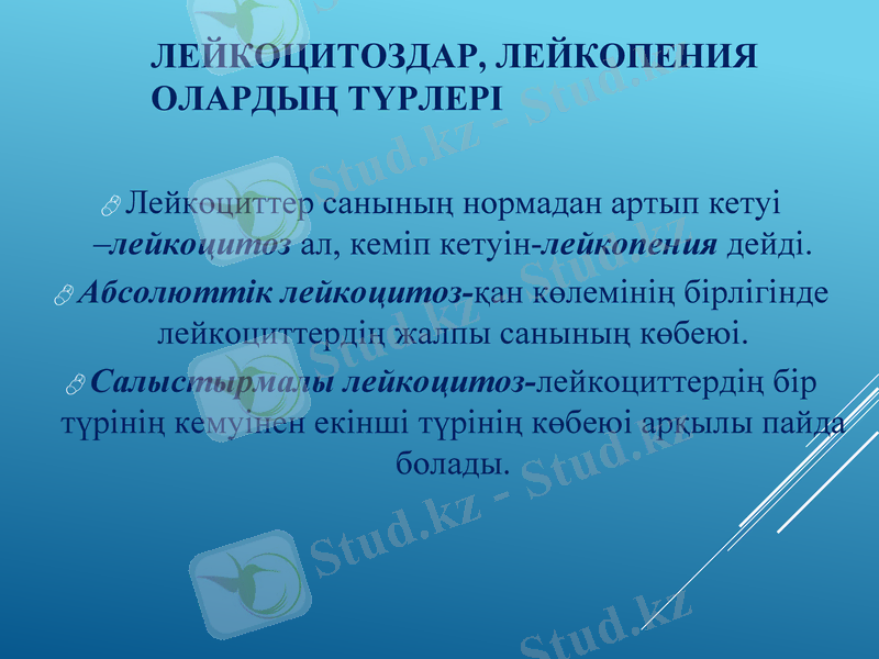 Slide 15