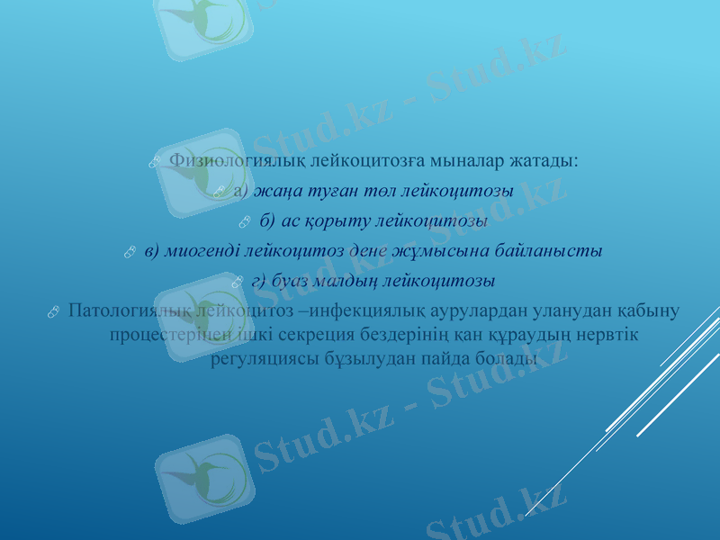 Slide 16