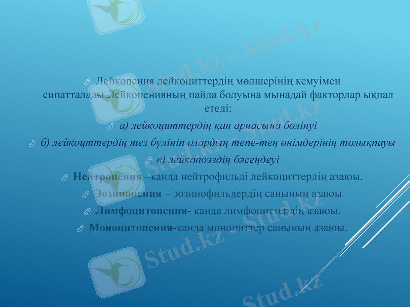 Slide 17