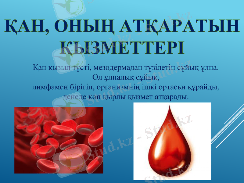 Slide 18