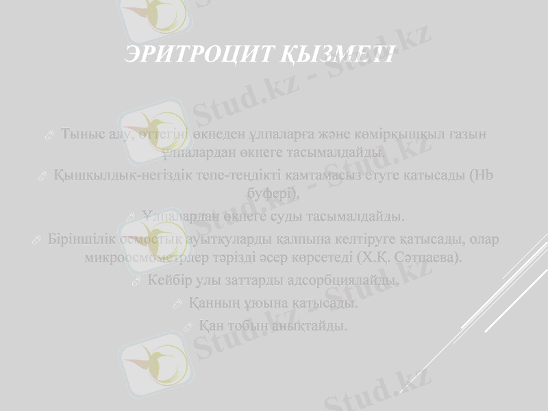 Slide 25