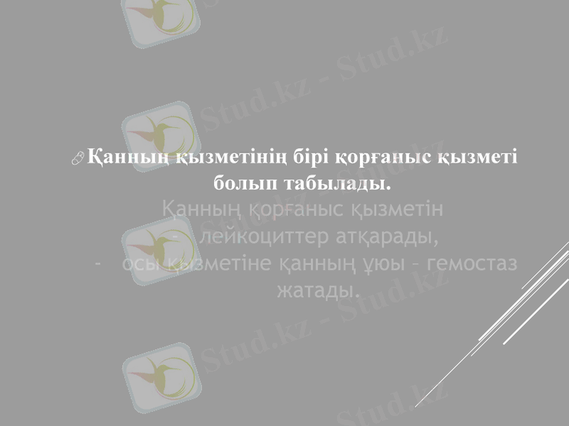 Slide 26