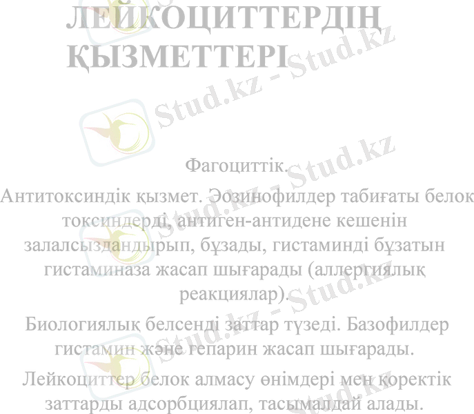 Slide 28