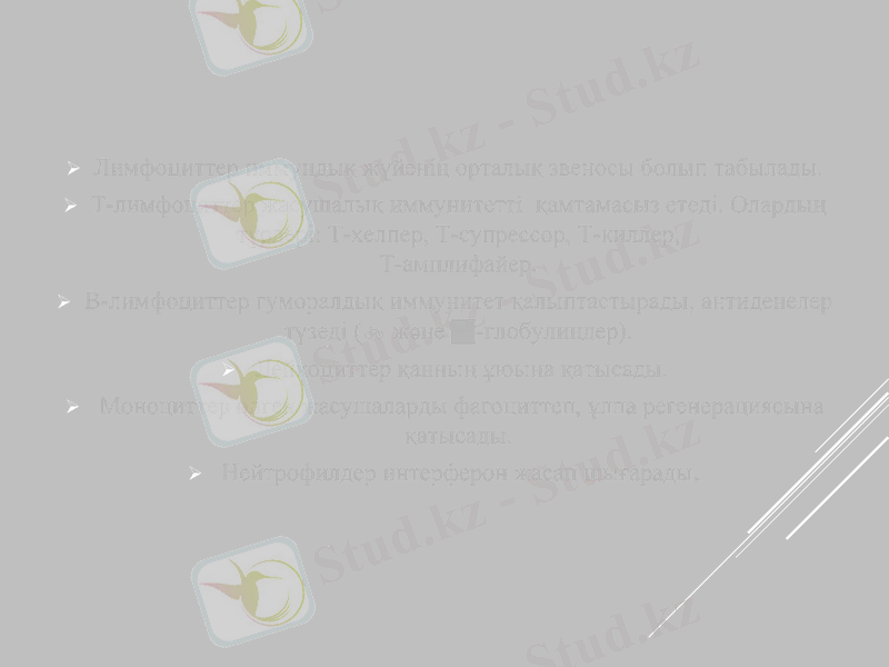 Slide 29