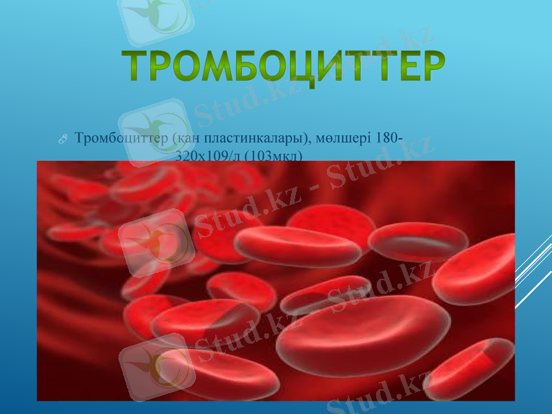 Slide 30