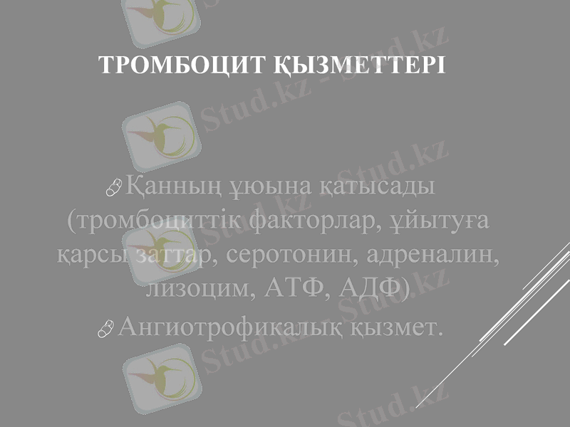 Slide 31