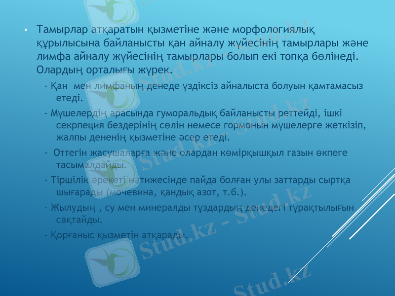 Slide 34