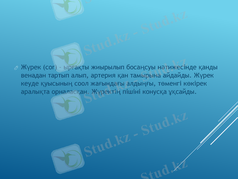 Slide 35