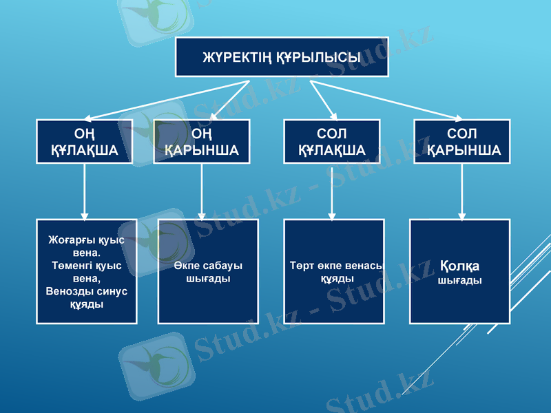 Slide 36