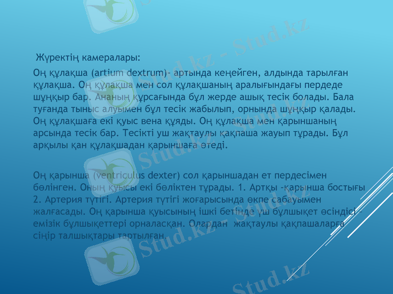 Slide 37