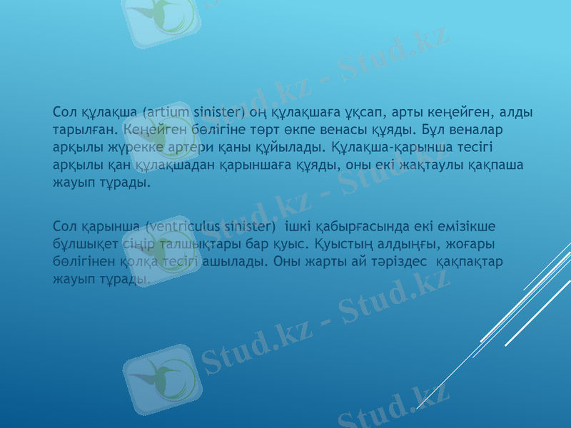 Slide 38