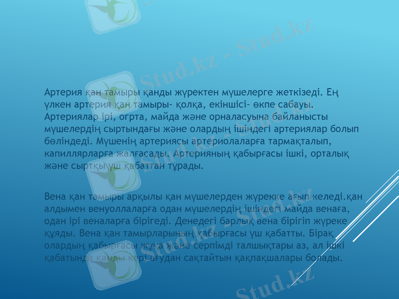 Slide 39