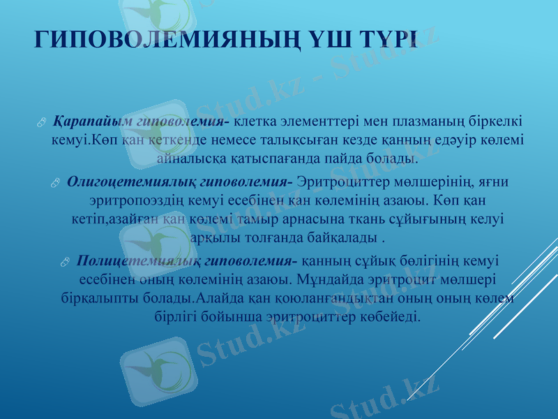Slide 6