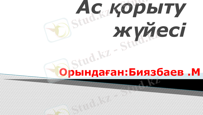 Slide 1