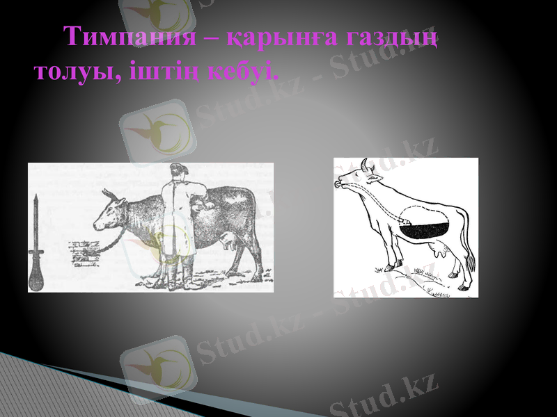 Slide 10