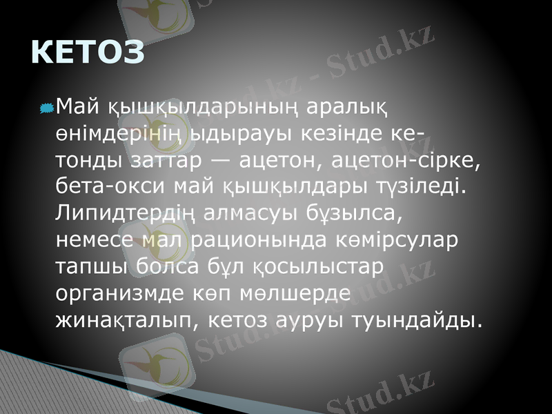 Slide 7