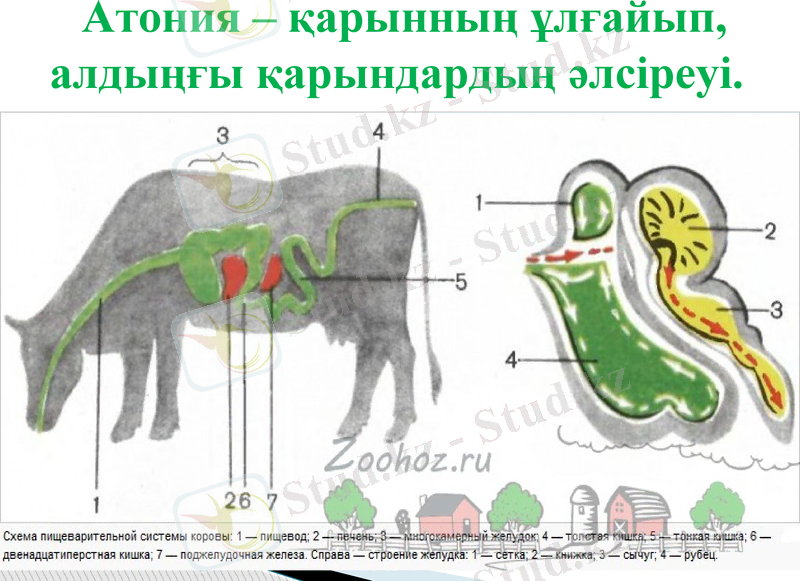 Slide 9
