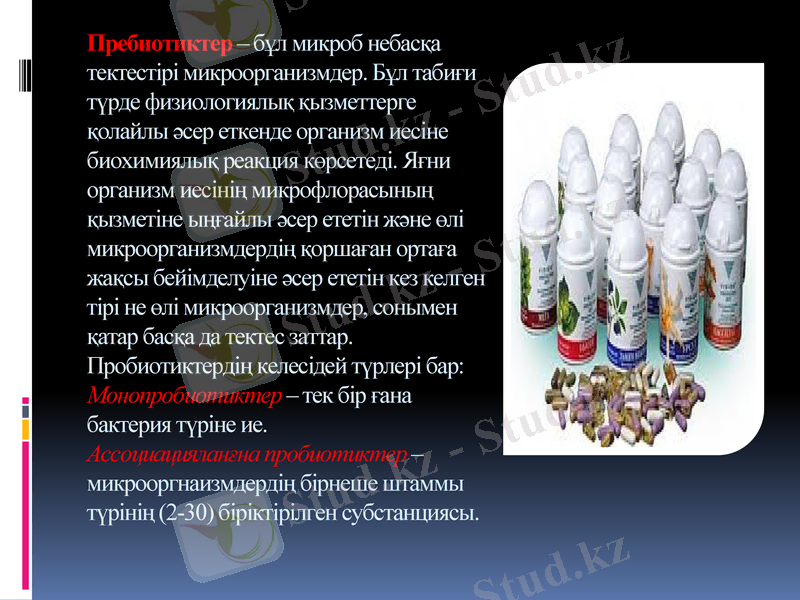 Slide 11