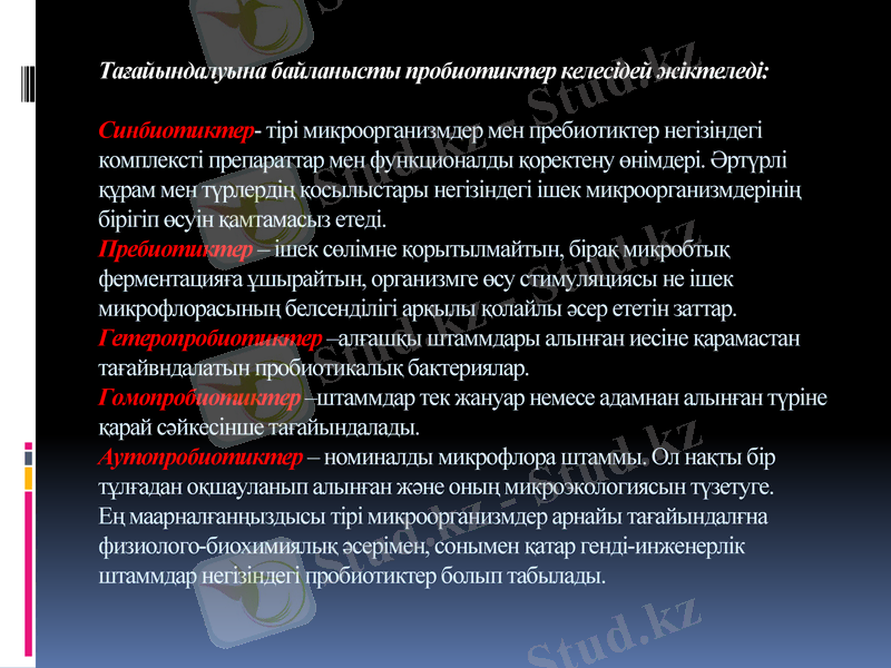 Slide 13