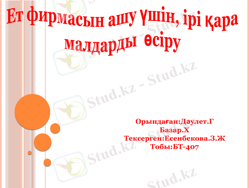 Slide 1