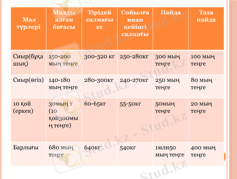 Slide 6