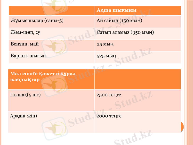 Slide 7