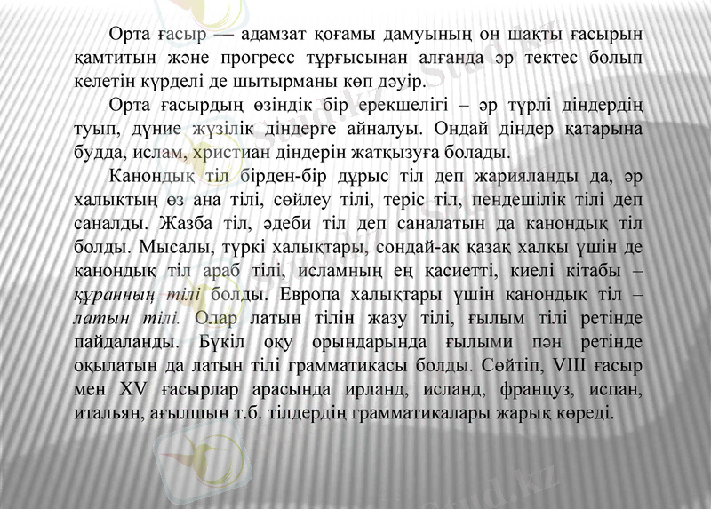Slide 8