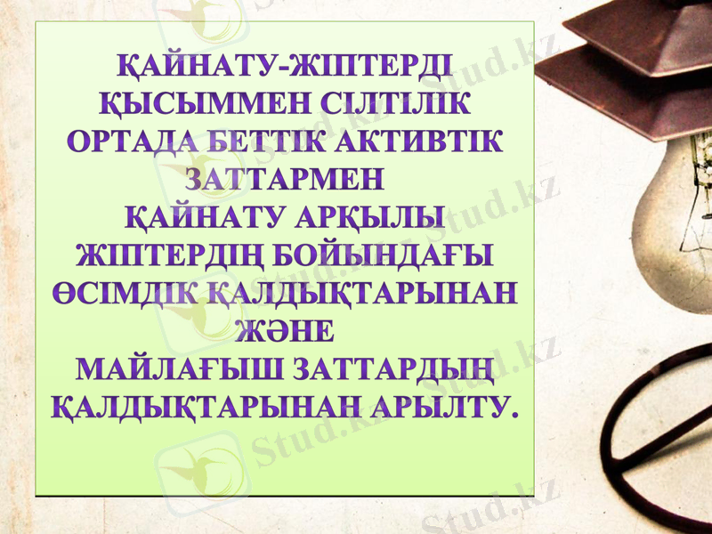 Slide 6