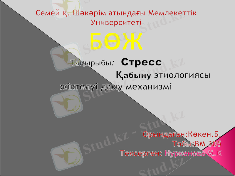 Slide 1