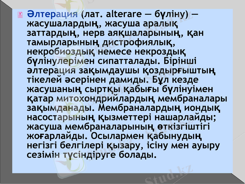 Slide 11