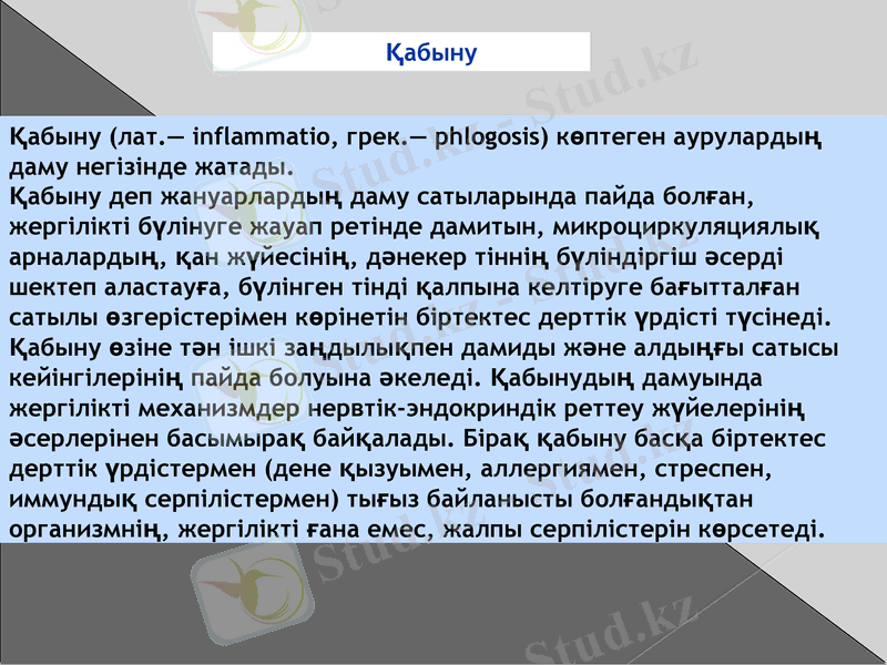 Slide 7