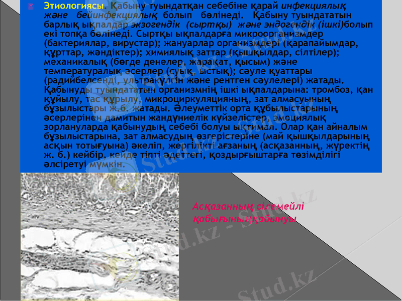 Slide 9