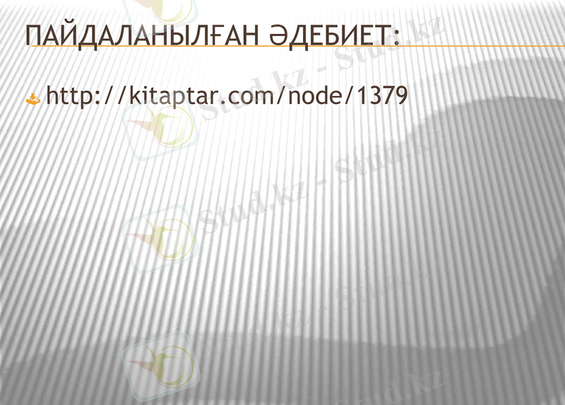 Slide 8