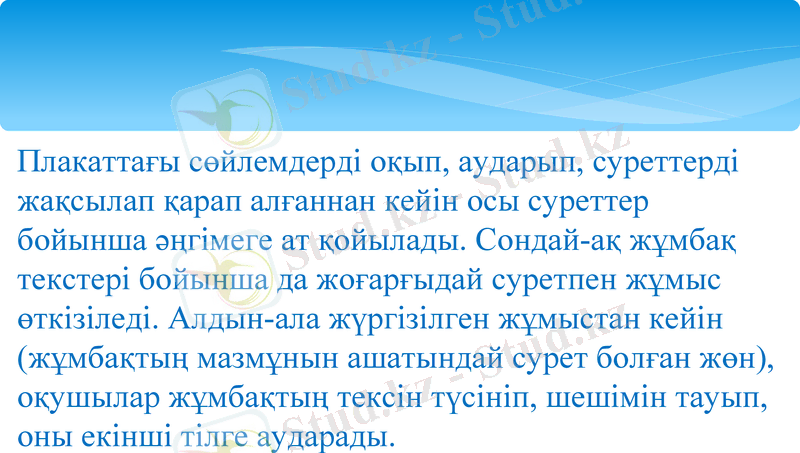 Slide 8