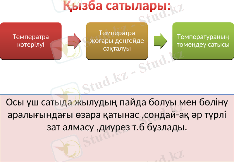 Slide 9