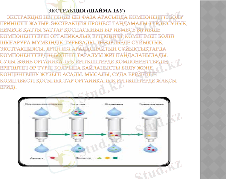 Slide 7
