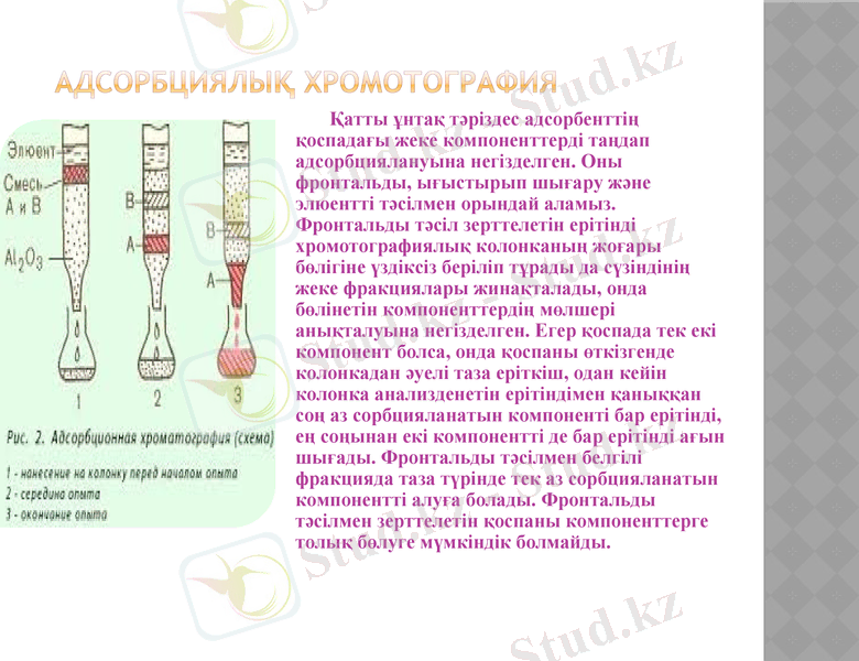 Slide 9