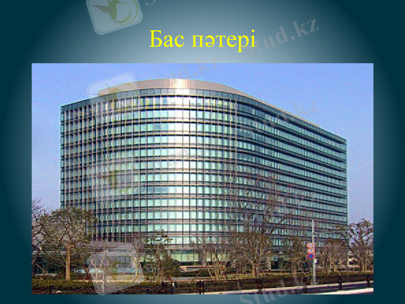 Slide 8