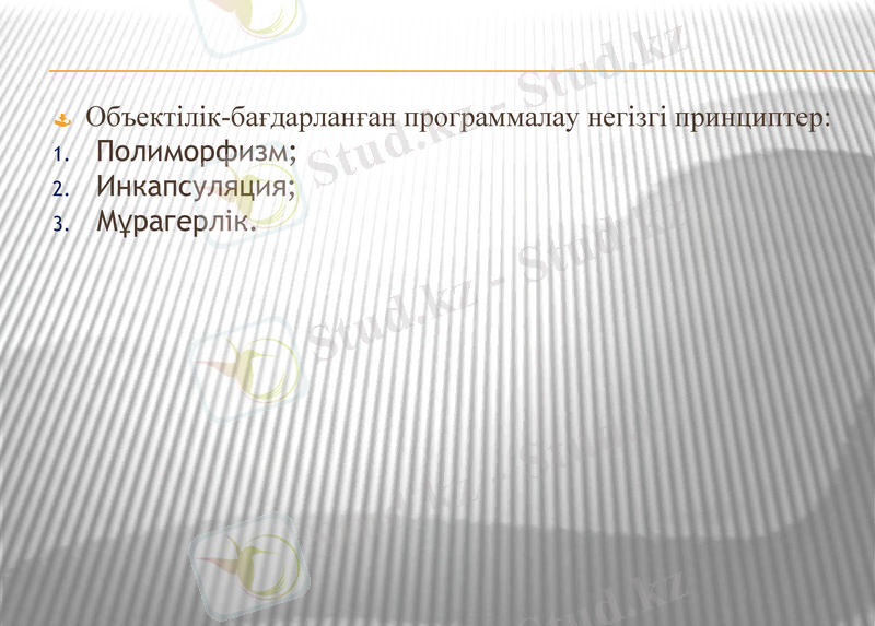 Slide 5