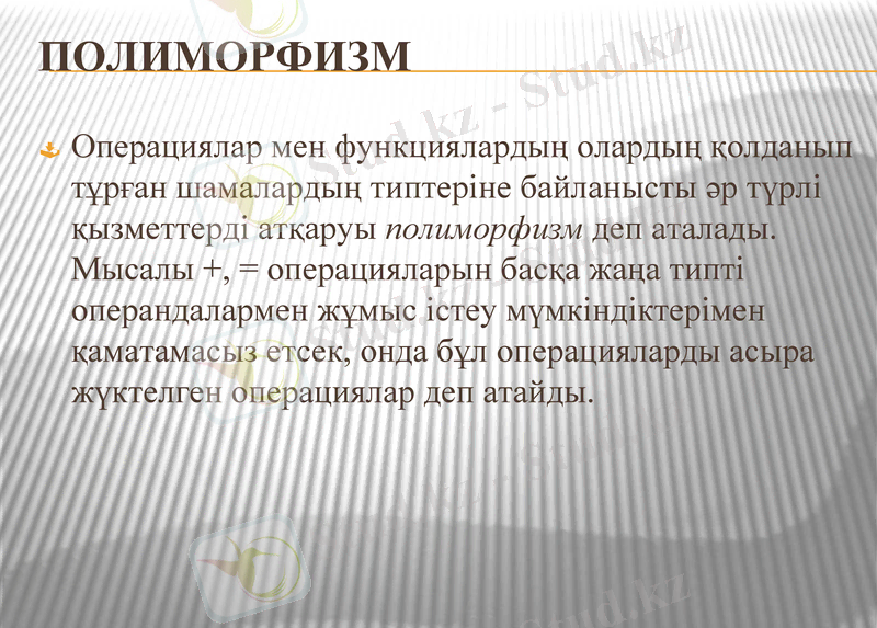 Slide 6
