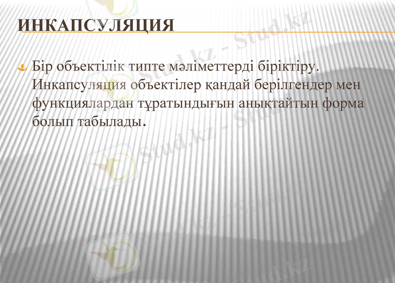 Slide 8